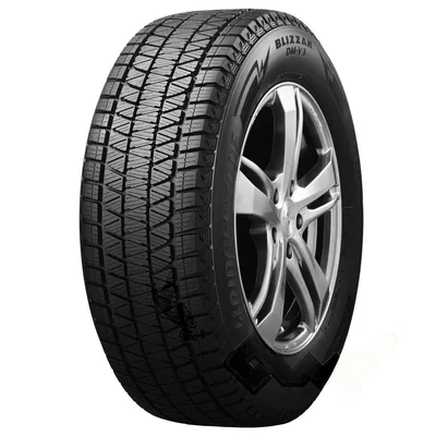 Bridgestone Blizzak DM-V3 255/55 R20 110T XL