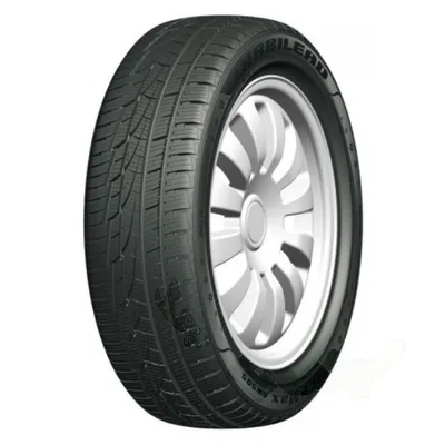 Habilead IceMax RW505 195/55 R16 87H