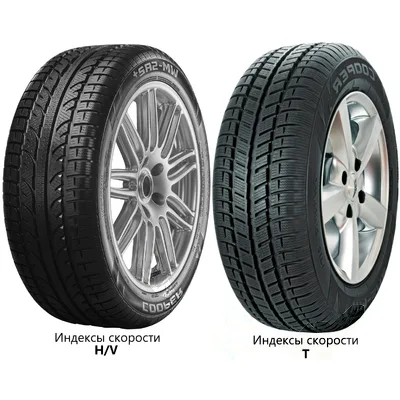 Cooper Weather-Master SA2+ 205/55 R16 91T