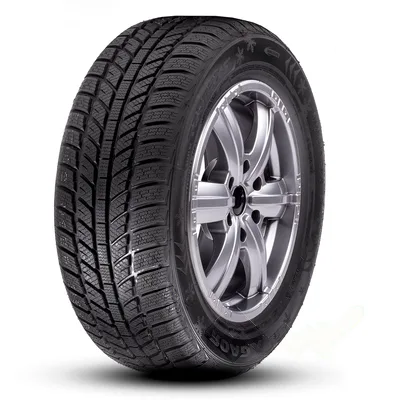 Roadx RXFrost WH01 205/60 R15 91H