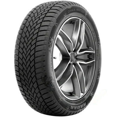 Radar Dimax Winter 205/60 R16 96V XL