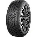Roadx RXFrost Tempo 245/45 R20 103W XL