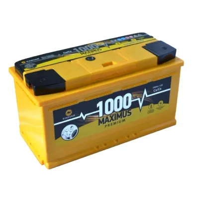 АПЗ  Maximus 100Ah 1000A R+